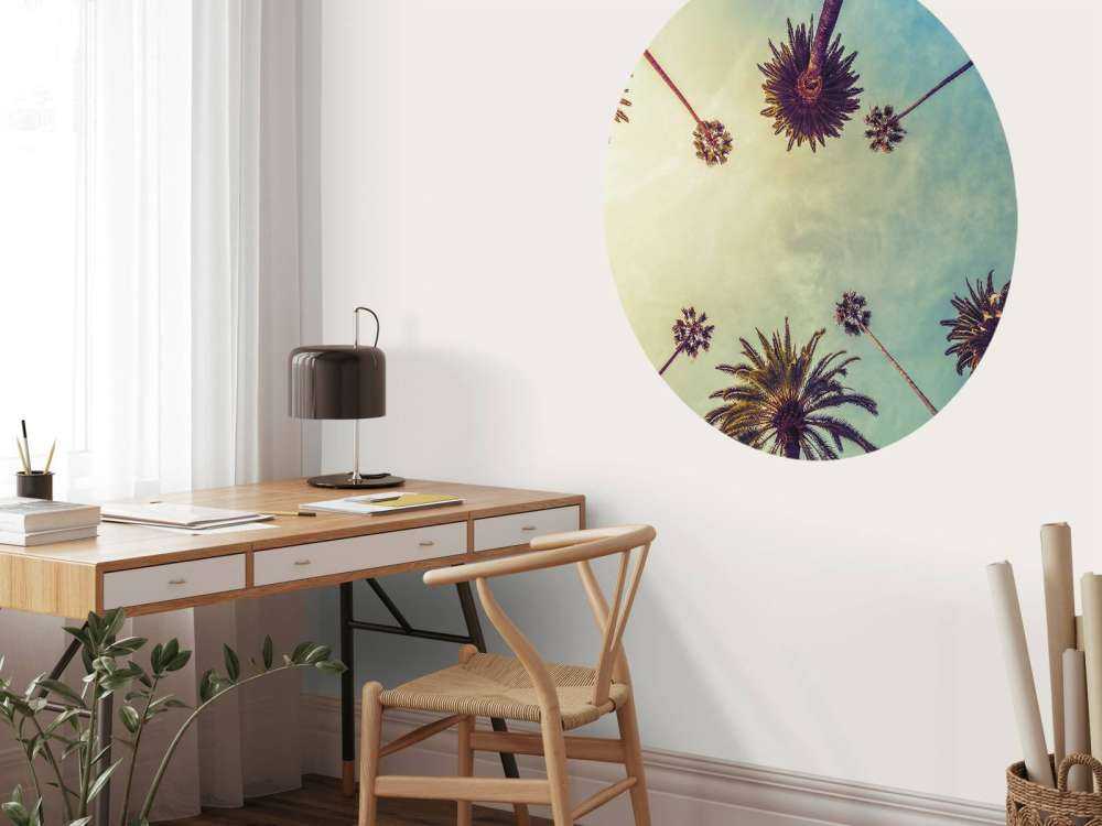 Vista dal basso delle palme