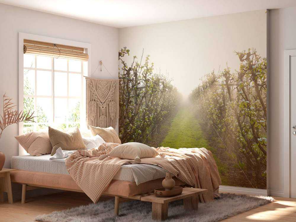 Fiori di pero nella nebbia