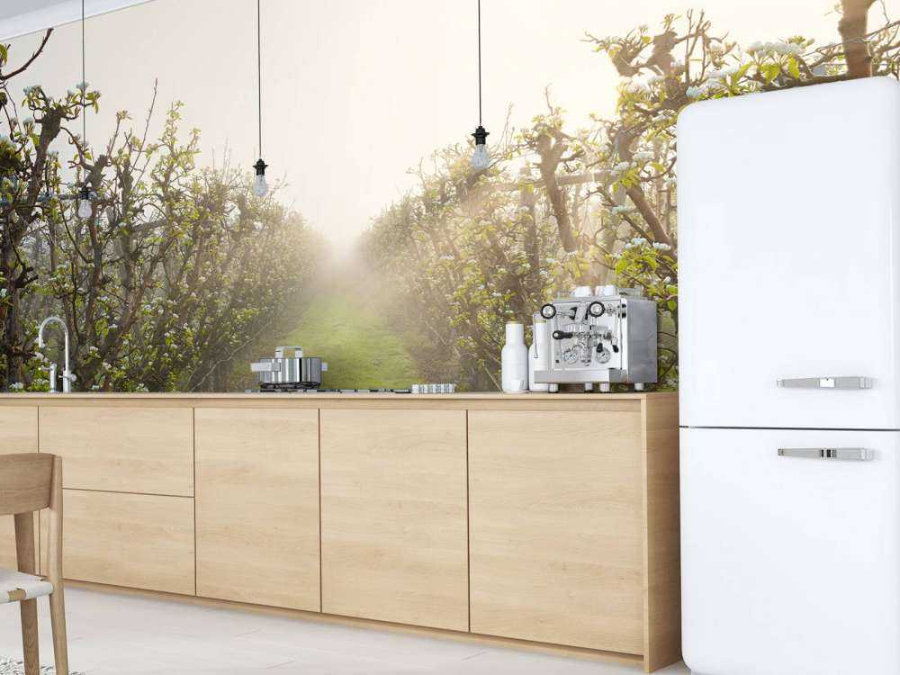 Fiori di pero nella nebbia