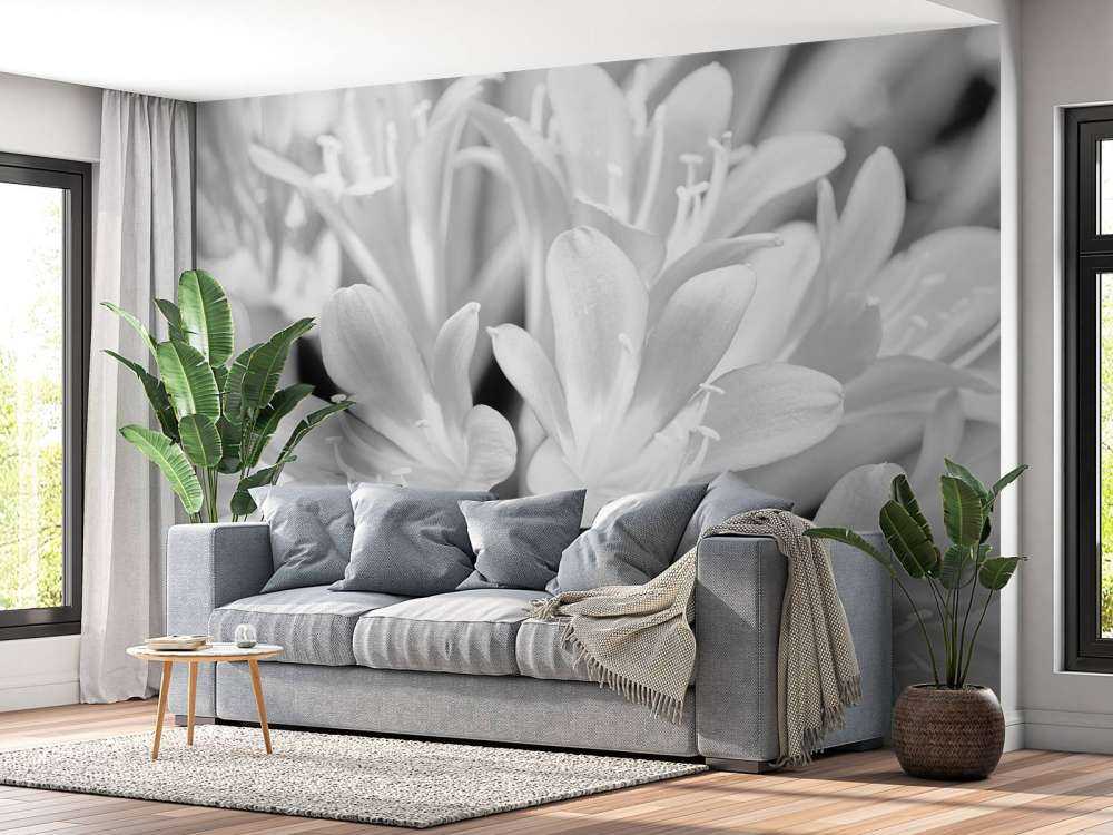 Fiori in fiore, bianco e nero