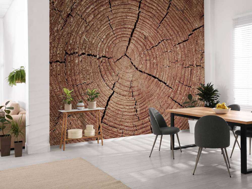 Tronco con anelli annuali