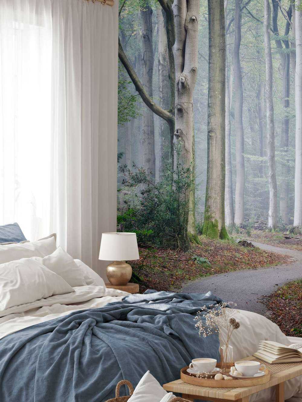 Sentiero attraverso la foresta