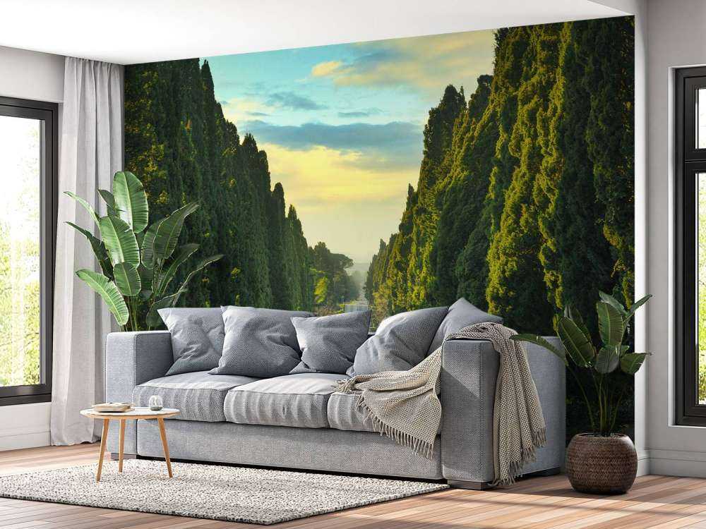 Strada con alberi ad alto fusto