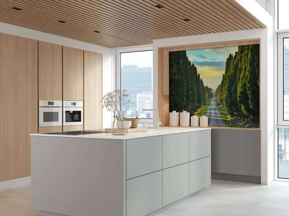 Strada con alberi ad alto fusto