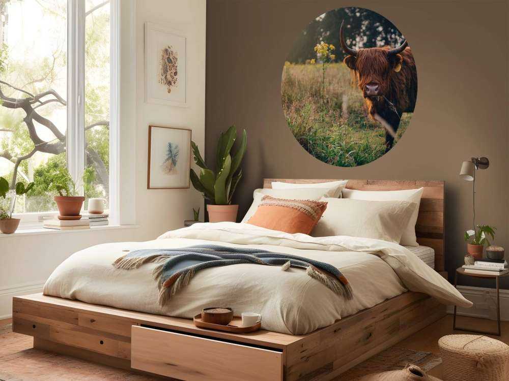 Highlander scozzese nell'erba alta