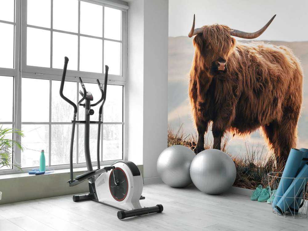 Highlander scozzese su una collina