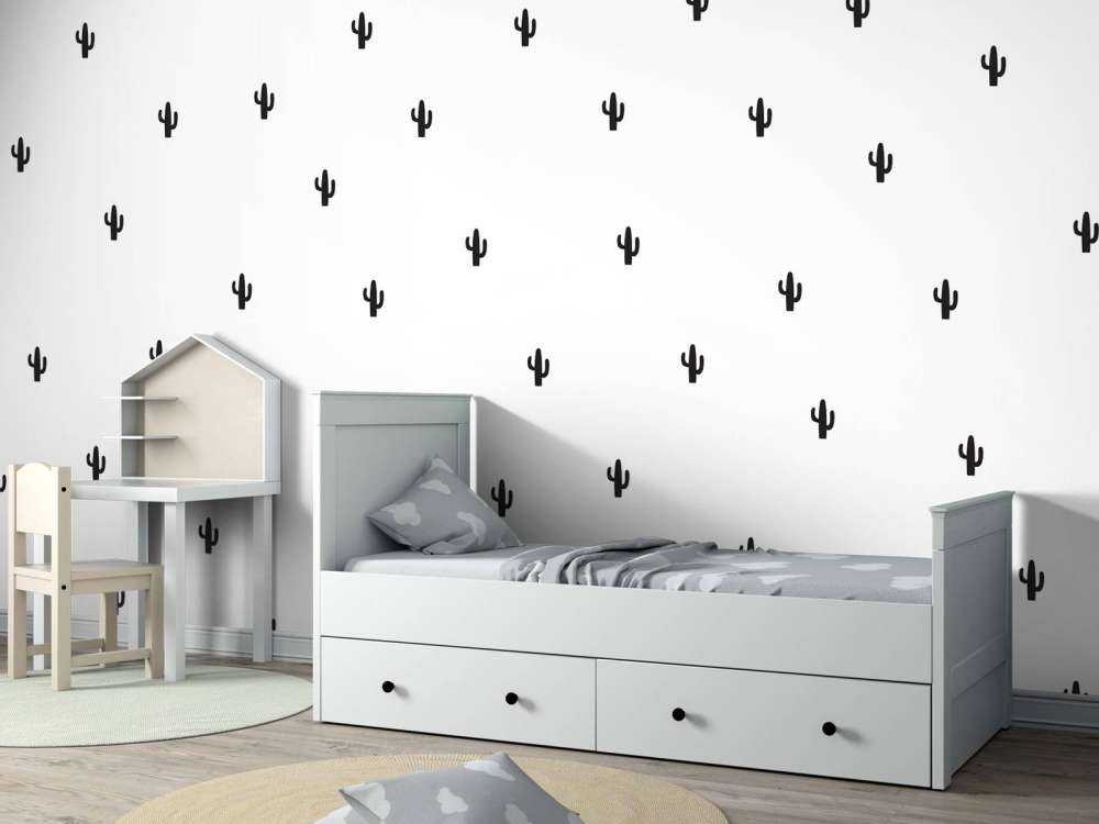 Cactus in bianco e nero