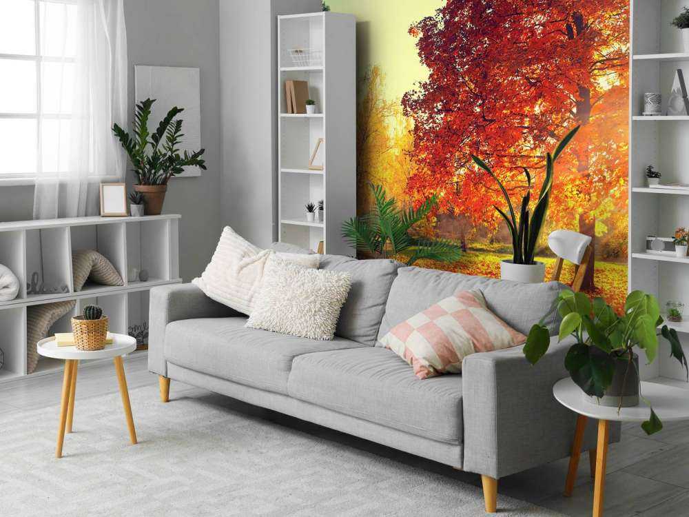 Alberi d'autunno alla luce del sole