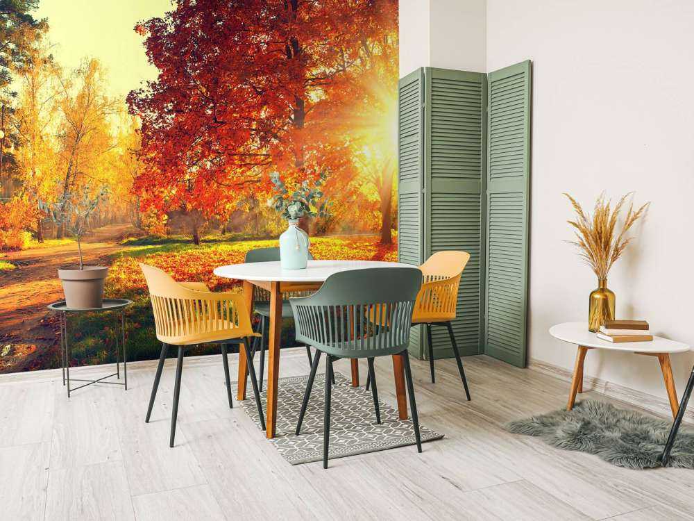 Alberi d'autunno alla luce del sole