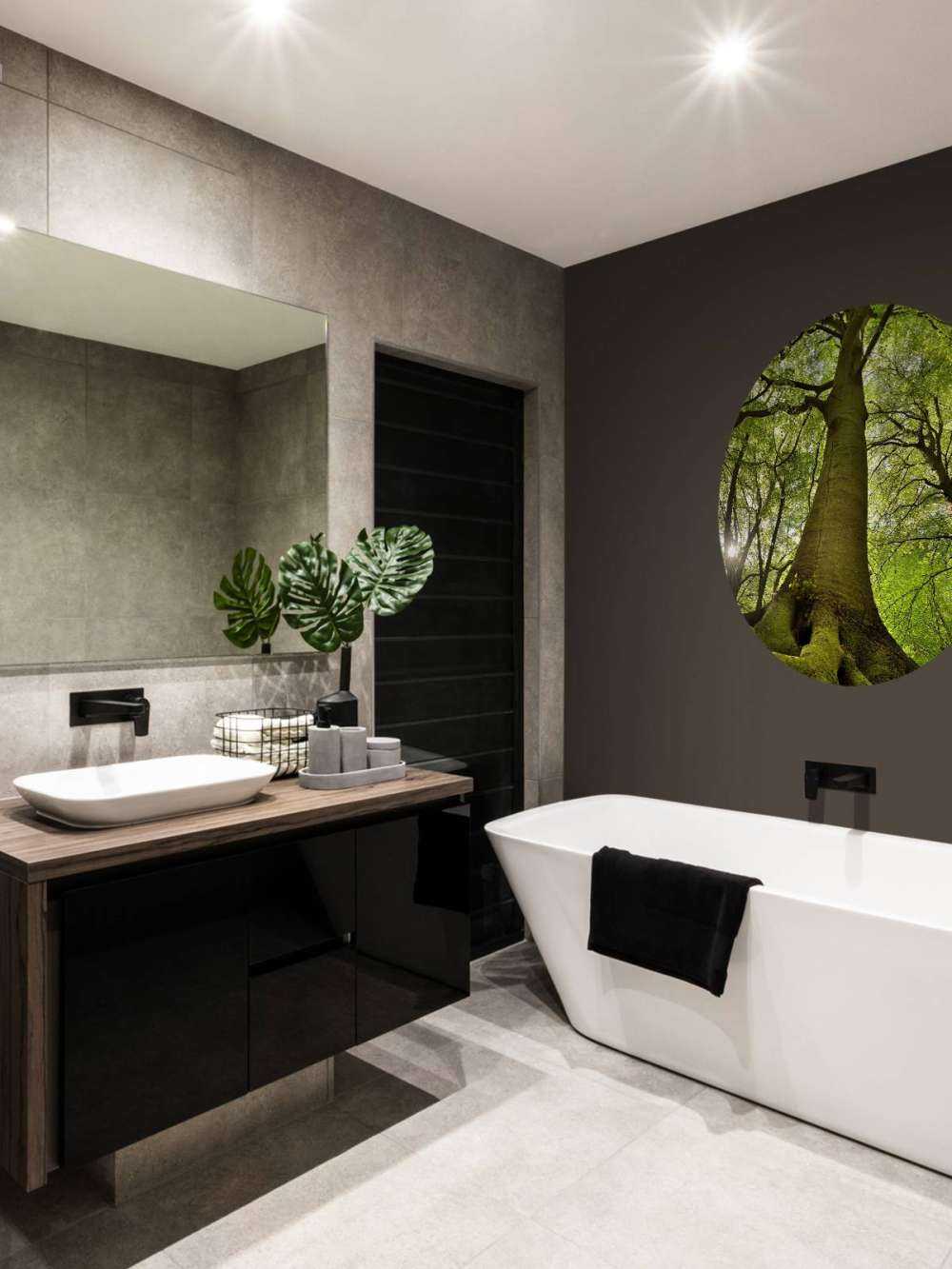 Grande albero e radici