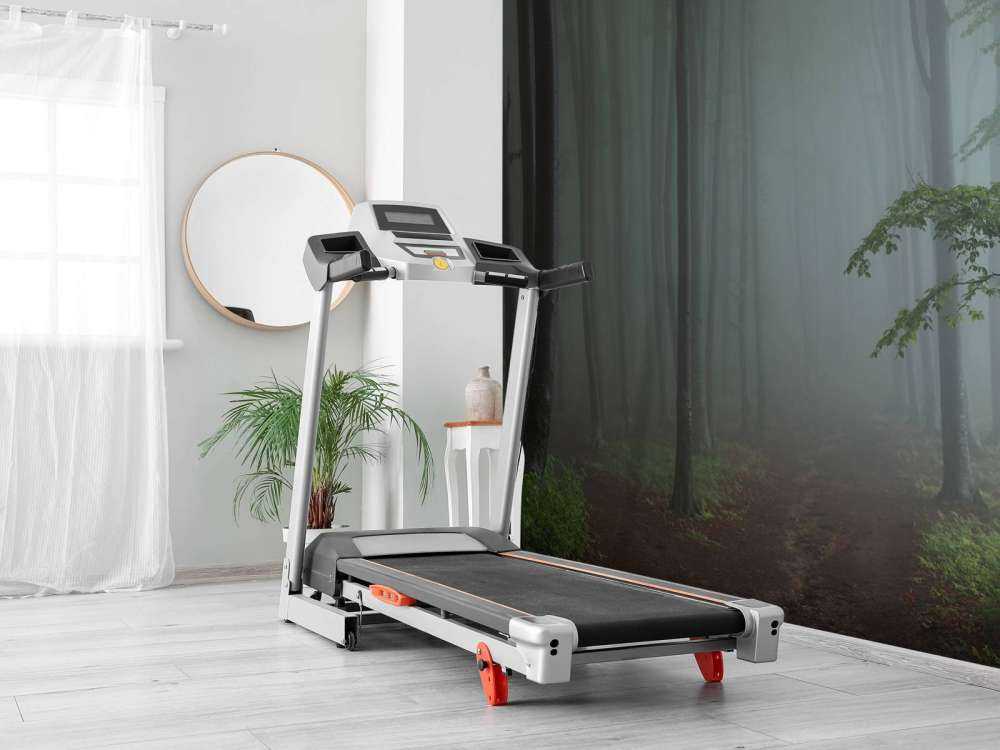 Panorama forestale nebbioso