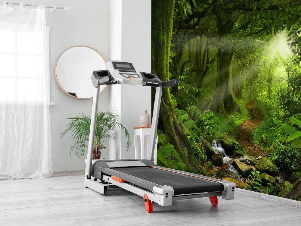 Giungla tropicale con luce solare