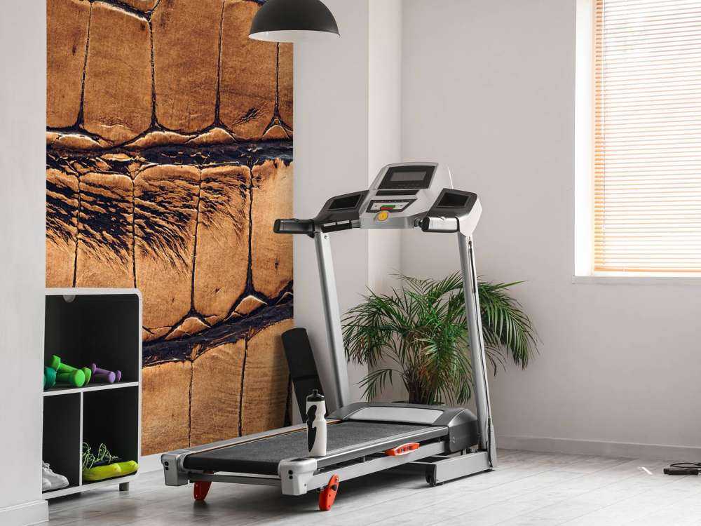 Pelle di coccodrillo