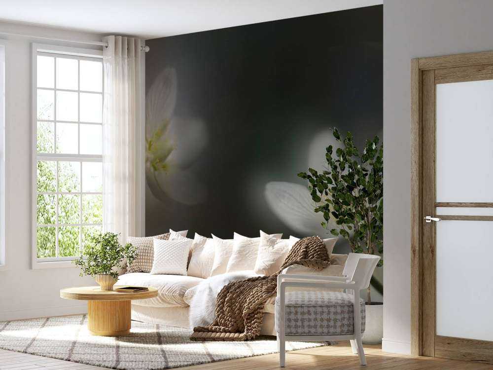 Light in the darkness