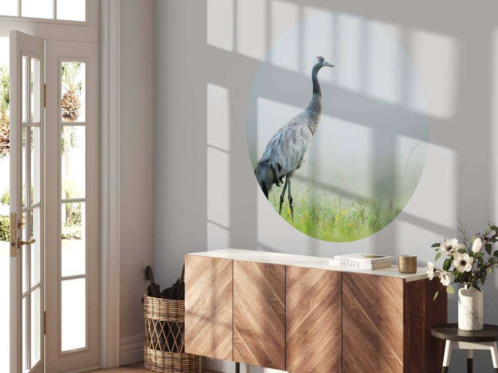 Gru nella nebbia del mattino