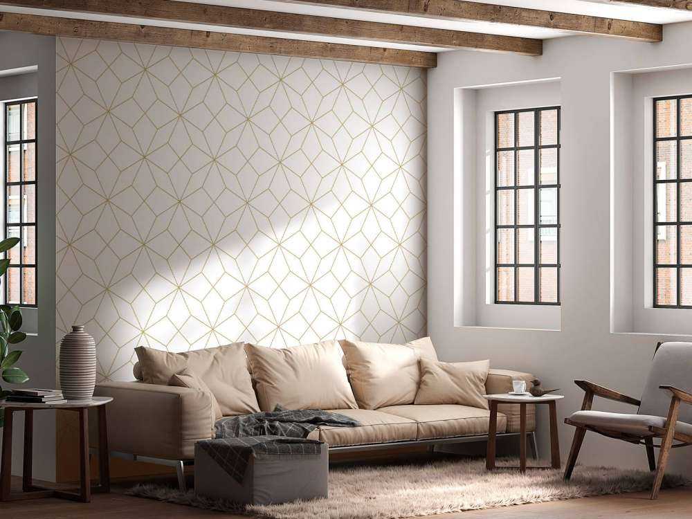 Linee auree astratte