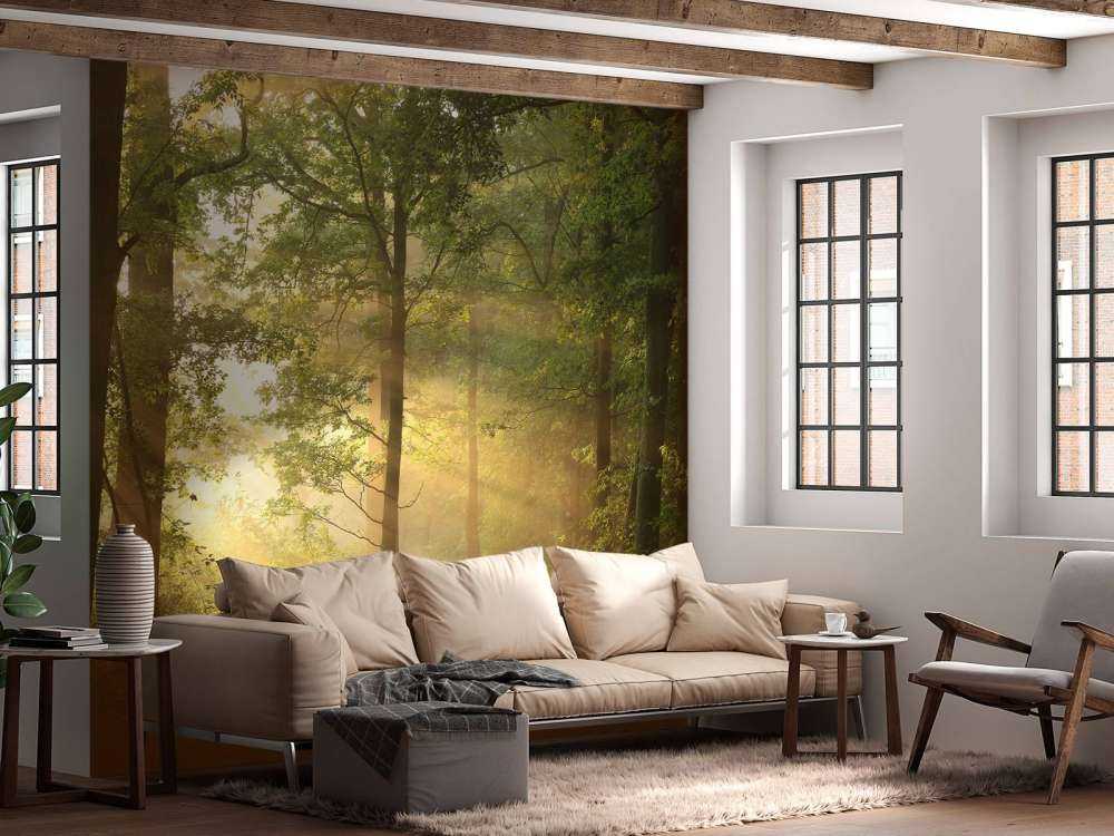 Nebbiosa mattina di primavera