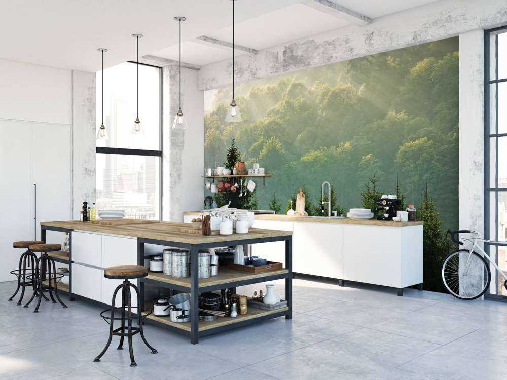 Raggi di sole sulla foresta