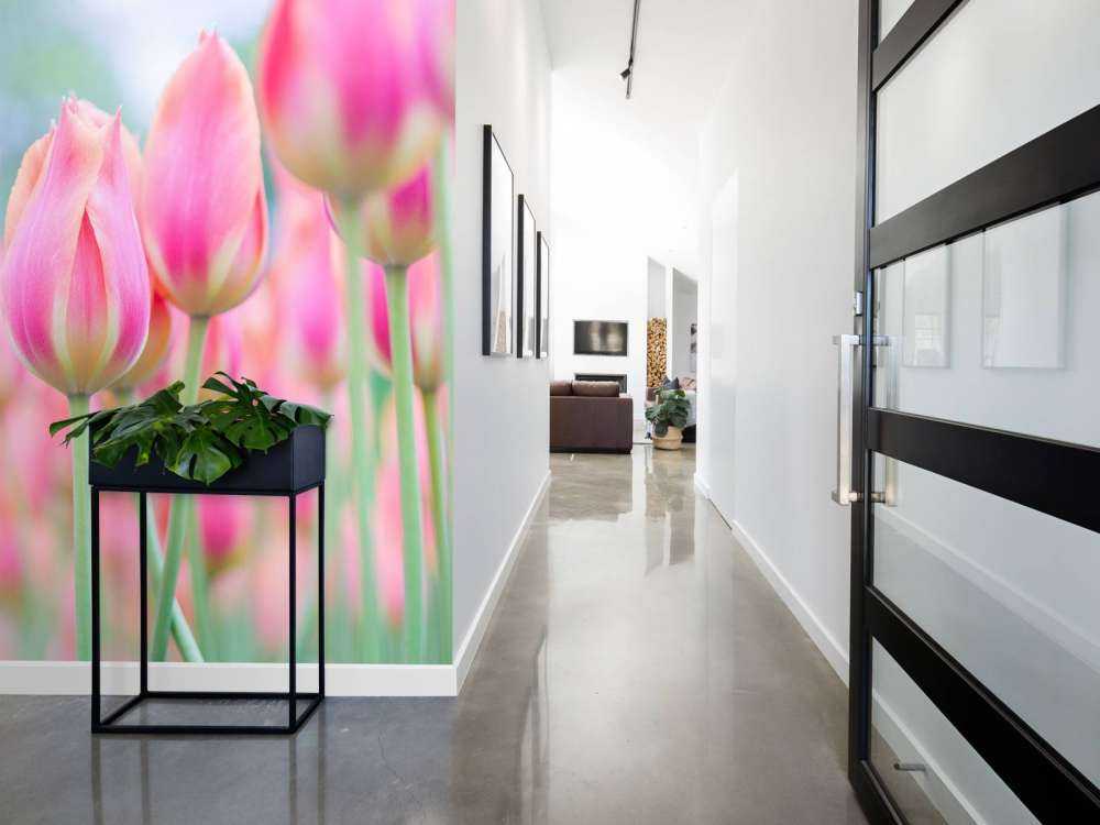 Tulipani rosa ravvicinati