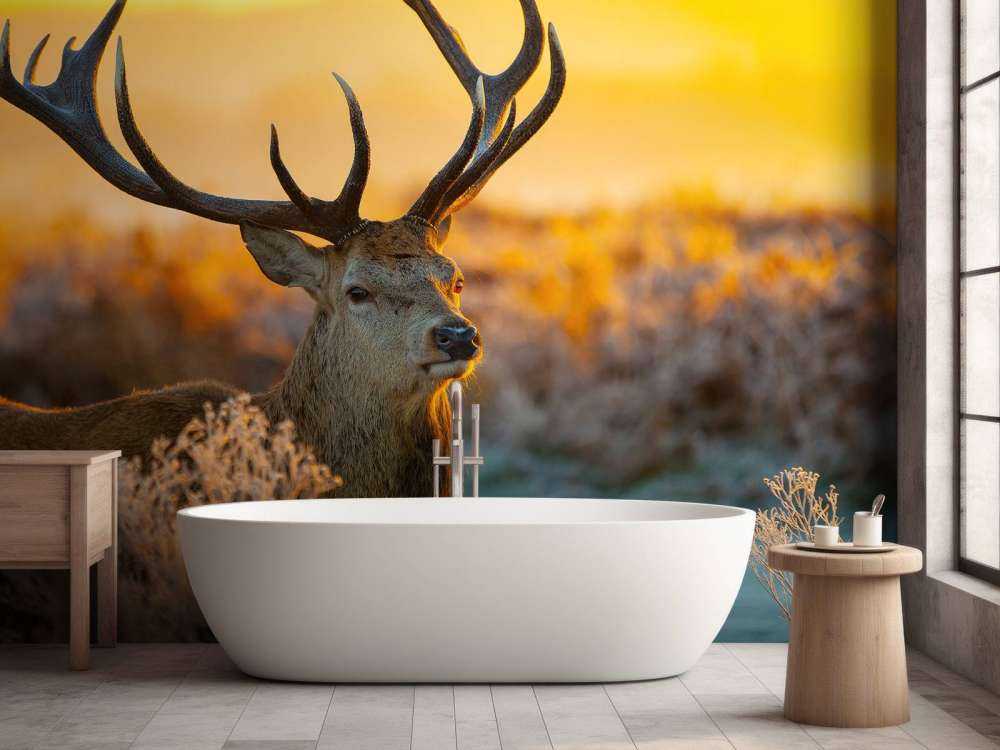 Cervi nella riserva naturale