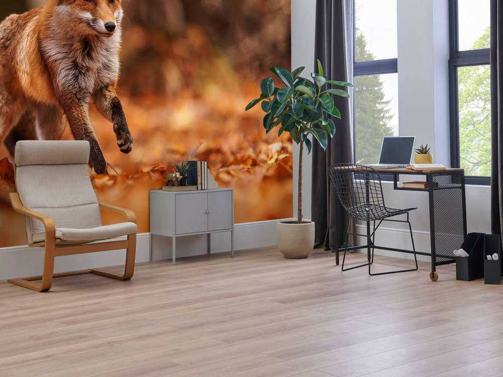 Colpi di Volpe Volo Autunnale