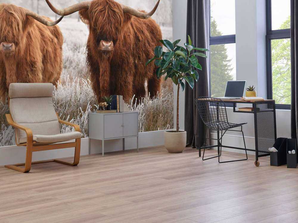 Highlander Invernale