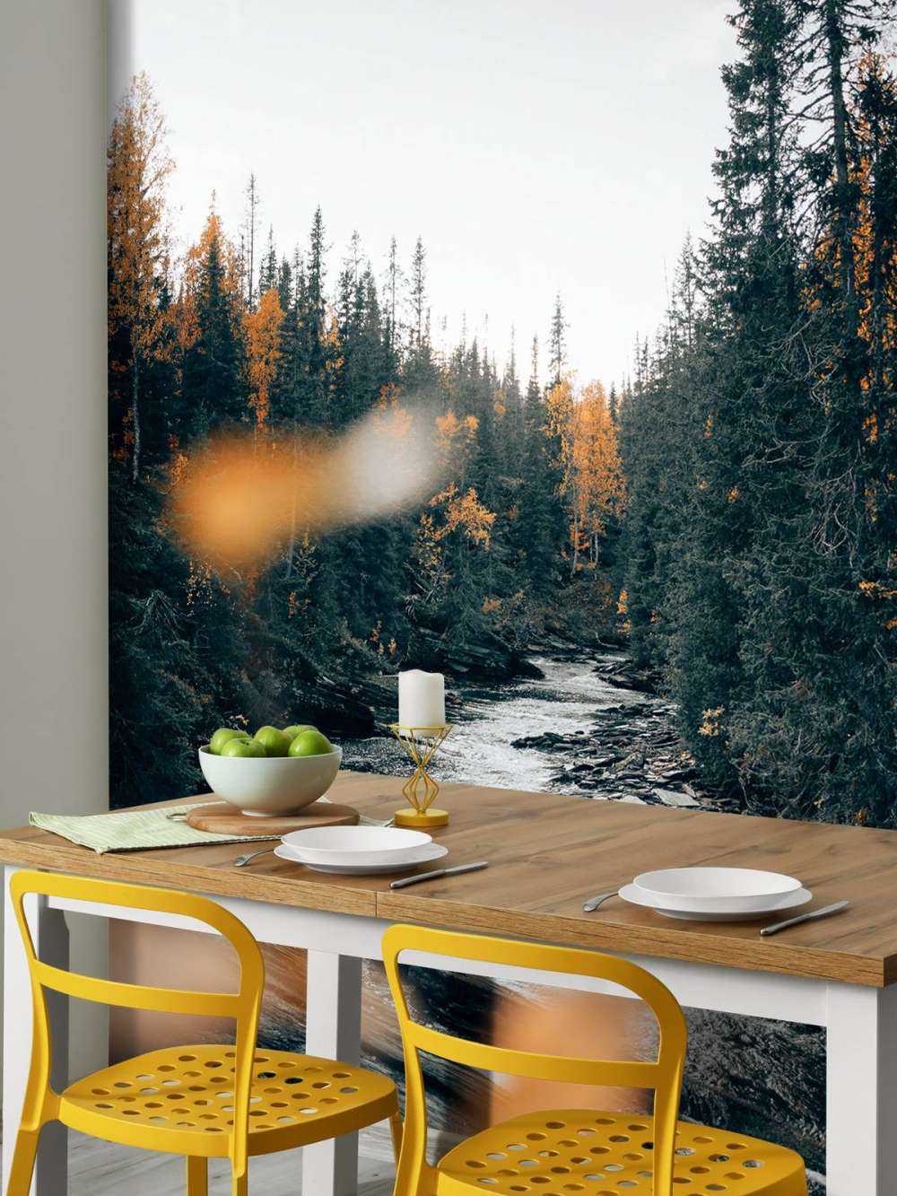 Foresta autunnale incantata