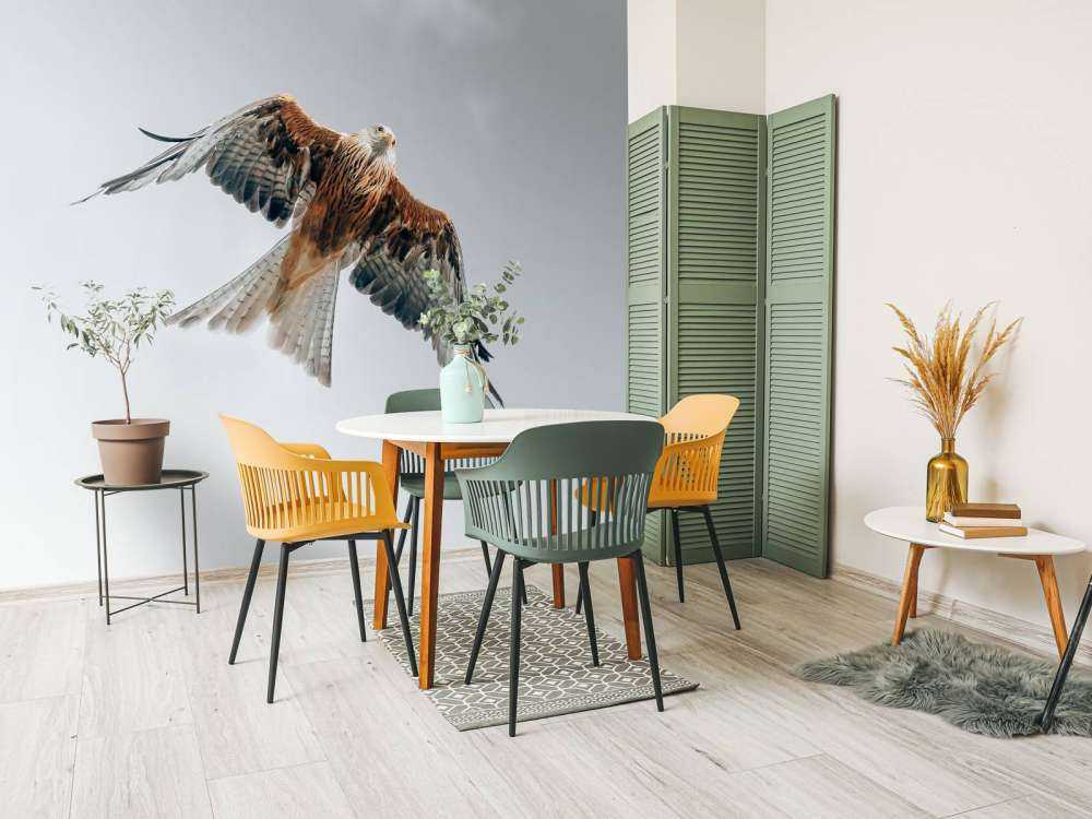 Aquilone rosso nel cielo