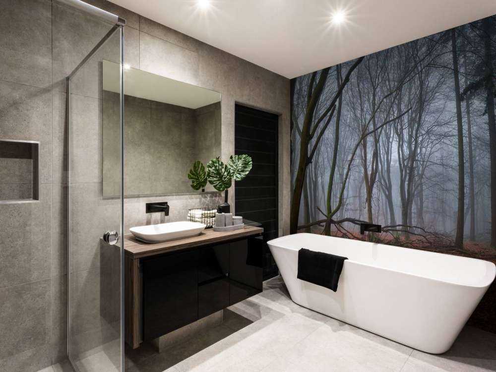 Misteriosa foresta nebbiosa