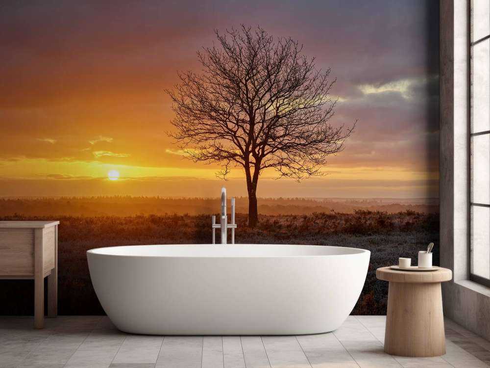 Alba colorata sulla brughiera