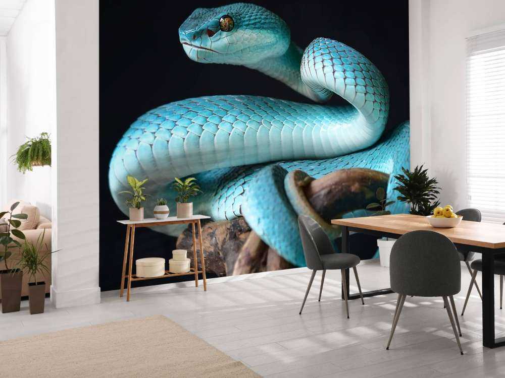 Serpente blu insulare