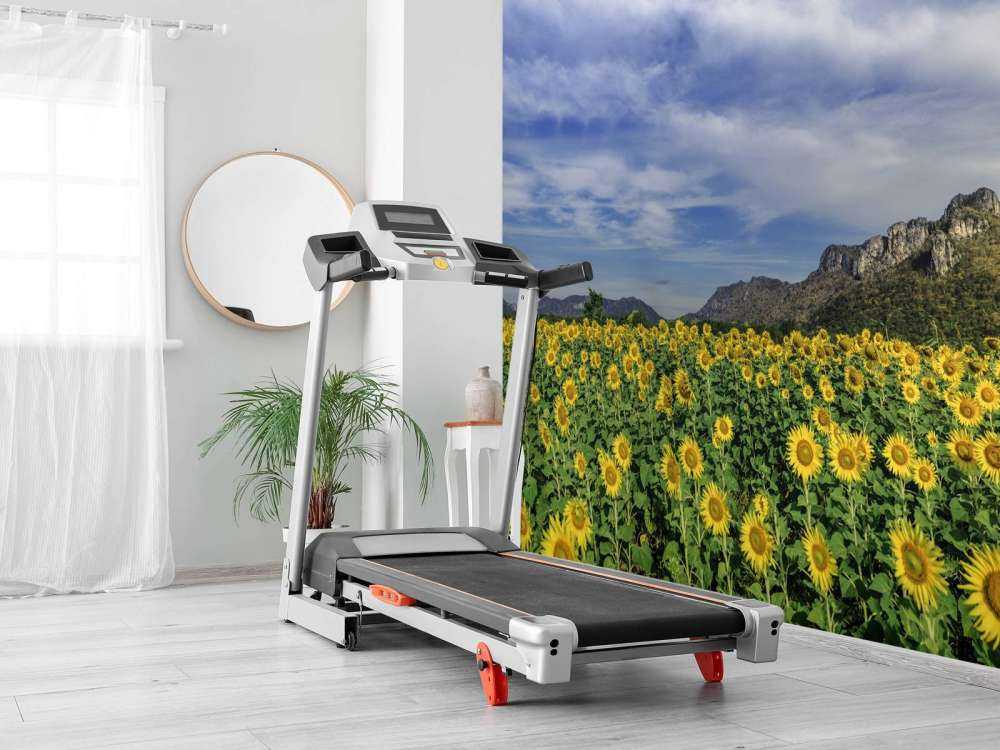 Campo fiorito giallo