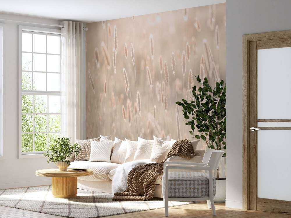 Prato durante il tramonto