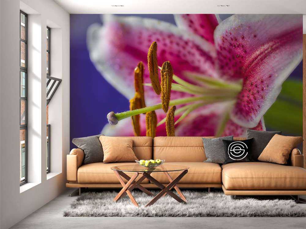 Fiore rosa ravvicinato