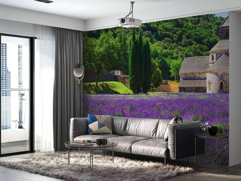 Campo di lavanda fata