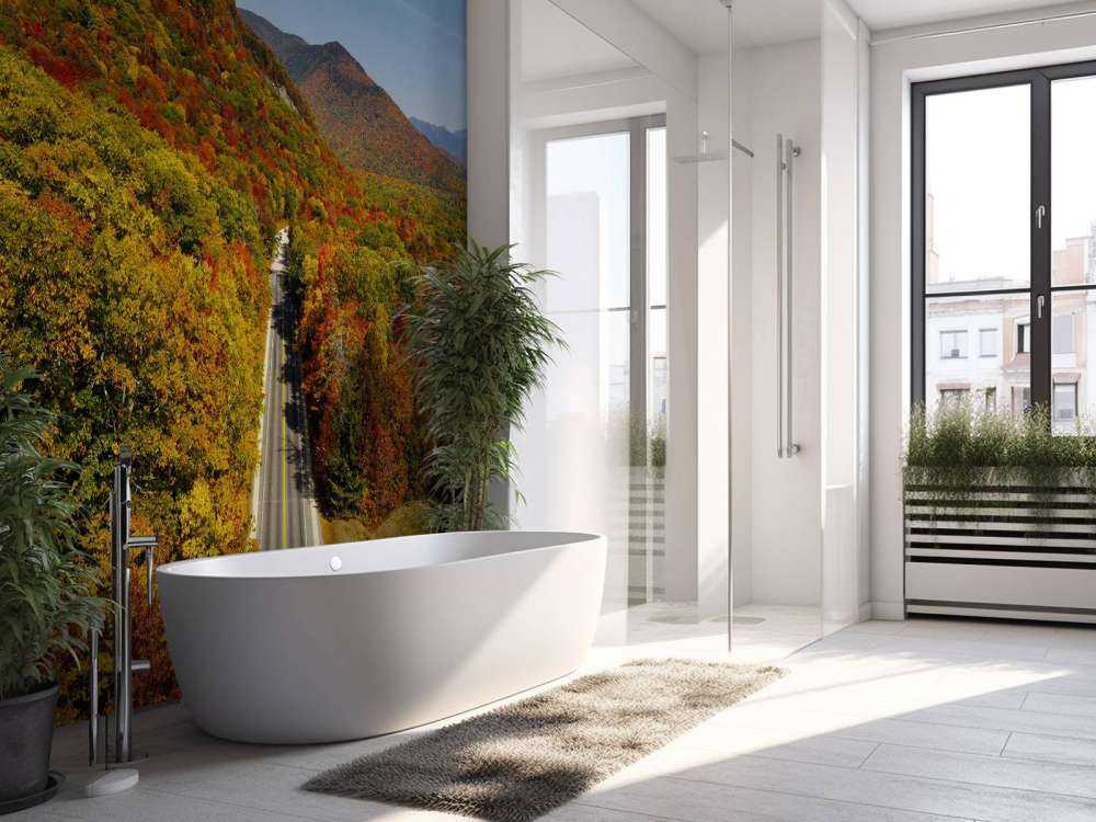 Strada attraverso il paesaggio autunnale