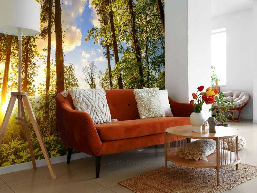 Tramonto tra gli alberi