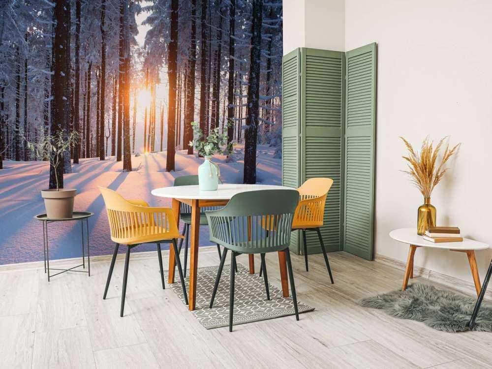 Tramonto in una foresta invernale