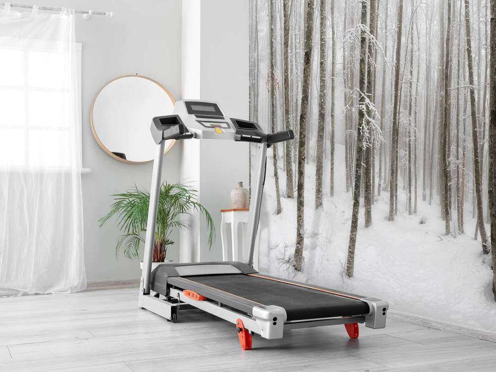 Foresta di faggio con neve