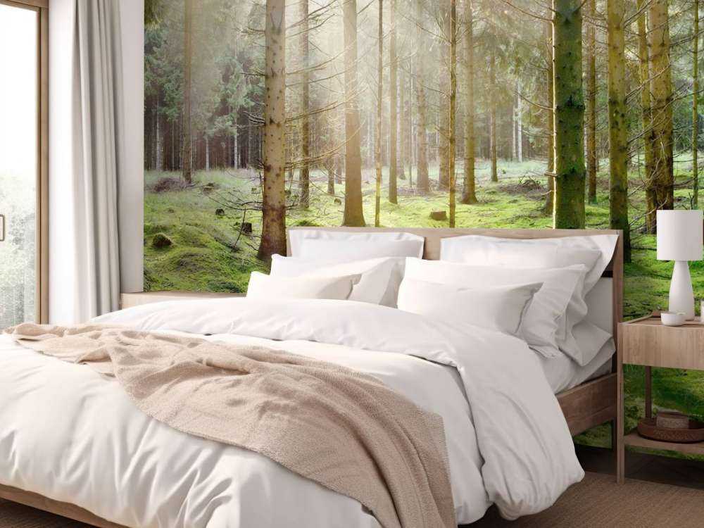 Foresta di conifere con muschio