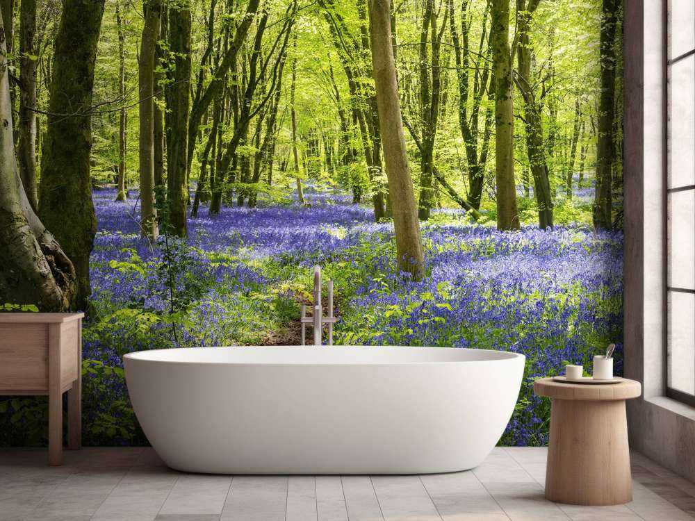 Foresta alla luce del sole