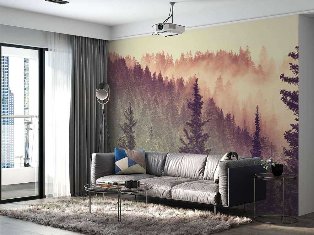 Nebbia nella foresta