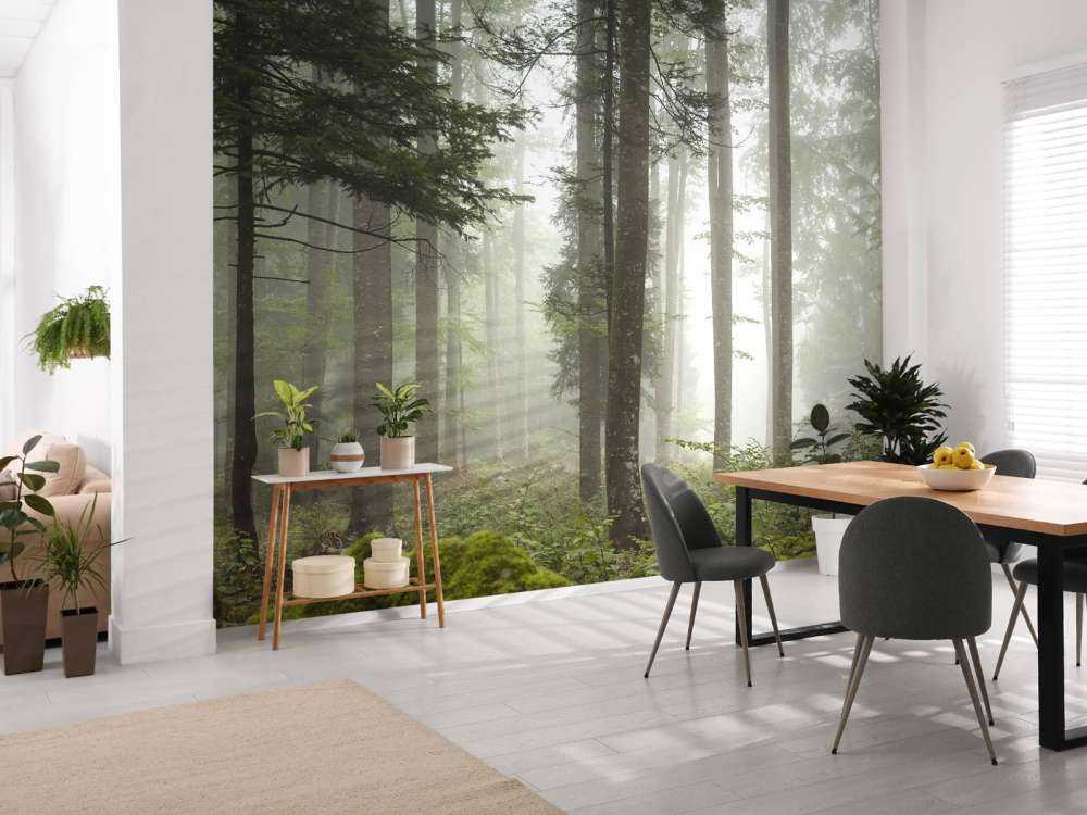 Bellissimo paesaggio nebbioso