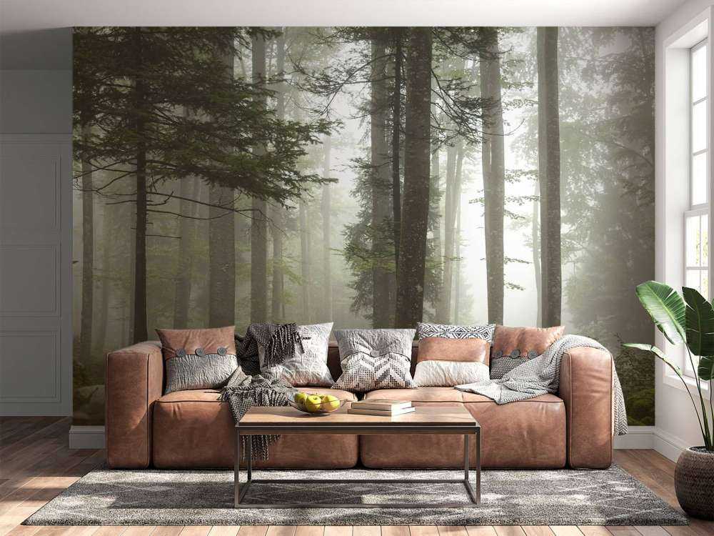 Bellissimo paesaggio nebbioso