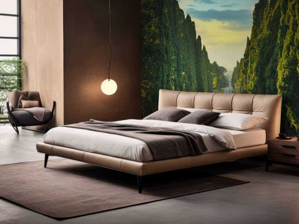 Strada con alberi ad alto fusto