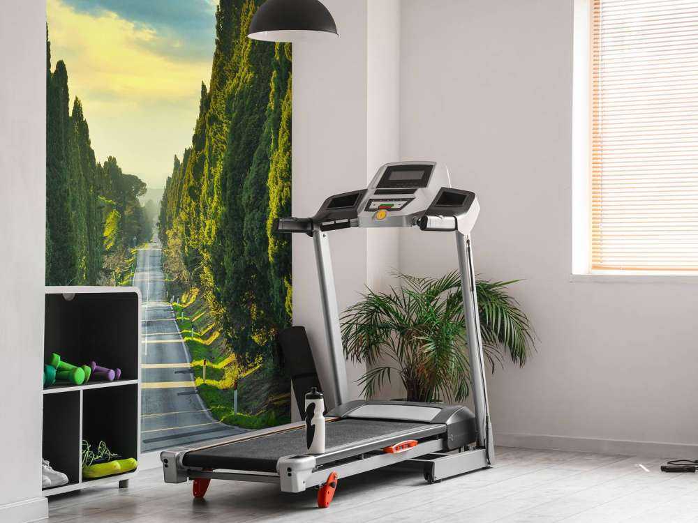 Strada con alberi ad alto fusto