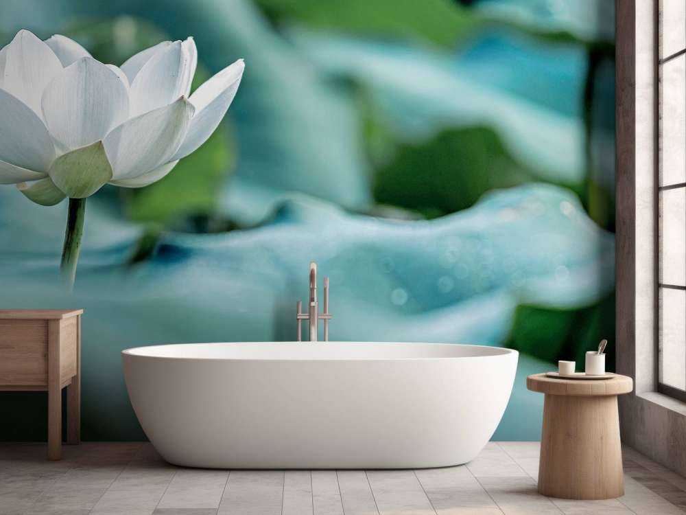 Fiore di loto bianco