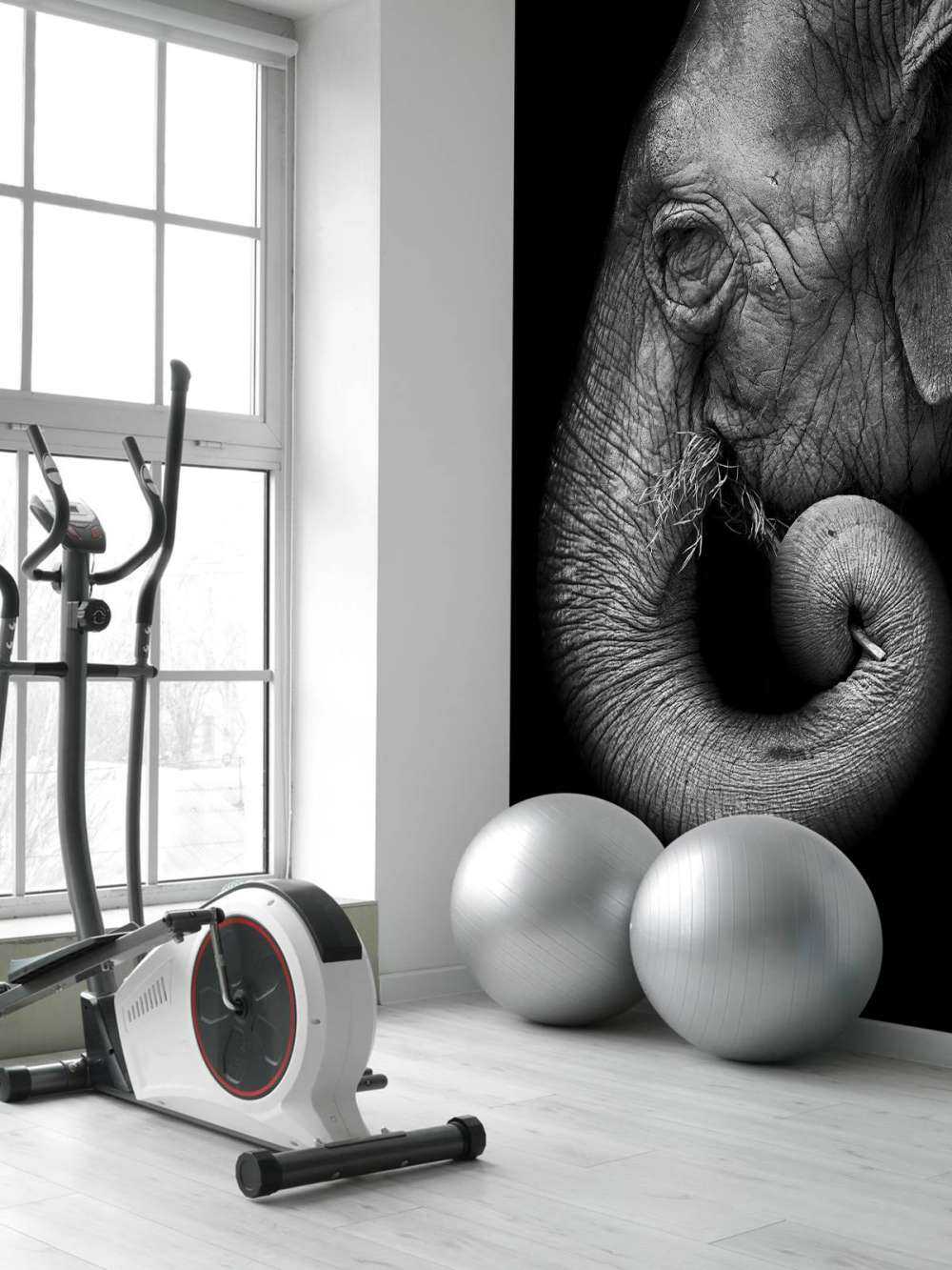 Ritratto di elefante