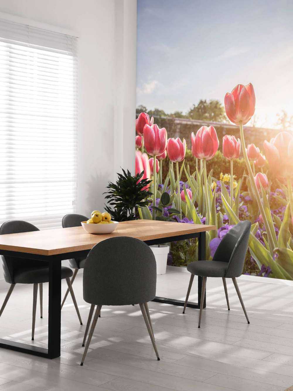 Fiori alla luce del sole