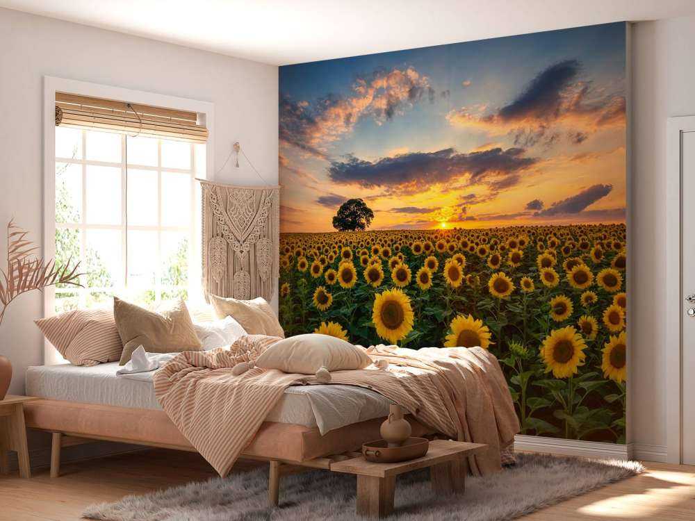 Campo pieno di girasoli